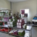 채이농장 이미지