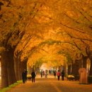 온양6동 남부로 이미지