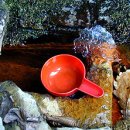 서면사무소(양양) 이미지