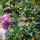 해보농장 이미지