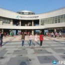 영덕야성초등학교 이미지