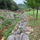 숲속계곡 쉴만한물가 | 수리산 도립공원 계곡, 아이들과 시원하게 즐긴 여름 물놀이 후기
