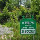 뿔농장 | 카페] 초보 운전도 걱정 없는 광활한 주차장! 사슴 농장 산책로가 있는 대형 신상 카페 '초록뿔언덕' 후기