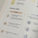 [소유진유산균] 유투바이옴 베베, 장 검사 결과지와 맞춤형 유산균 (2탄)
