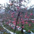 개똥이네 이미지