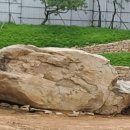 중부-현장-중부-280 이미지