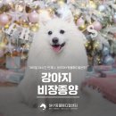 신창동물병원 이미지