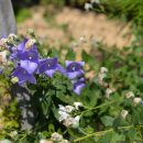 달빛나래펜션&게스트하우스 이미지