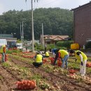 농협중앙회 영양군지부 이미지