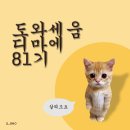 마케팅 부트캠프/[디지털 마케터 취업 준비] 도와세움 디마에 81기 5주차 (1) 19~20일차 수업 내용 정리...