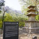 향성
