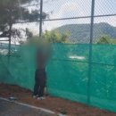 파평체육공원 축구장 이미지