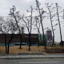 선큰공원 일로읍 농구장 | 도내기샘 국민체육센터(수영장) 이용 후기