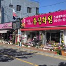 홍성화원