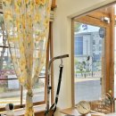 살롱드도만 이미지