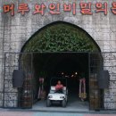 와인터널 이미지