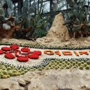 방림원 식물원 이미지