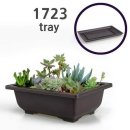 다육이 아트(B) 이미지