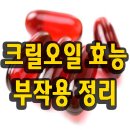 알고 먹으면 더좋은 크릴오일의 효능 이미지