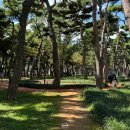 황성공원 씨름장 북쪽 화장실 | 경주 황성공원 l 강아지 동반 산책하기 좋은 곳