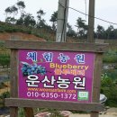 운산농원 이미지