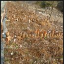 곡성생태체험관 이미지