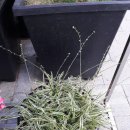 상록빌딩 앞 이미지