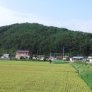 비봉내마을 네이버블로그
