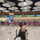 서가네 펜션 | 우당탕탕 여탕 일기_#002. 2025 여름 제주도 여행1