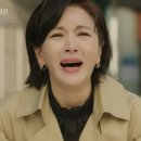 보배정 이미지