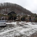 어린왕자의나무별 이미지