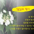 향기 이미지