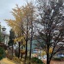 이상경공인중개사사무소 이미지