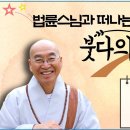 법륜정사 Daum카페