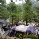 숲속캠핑장 이미지