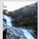 치산경로당 Daum카페