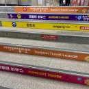 패밀리 하우스 | (대전)꿈돌이/꿈돌이하우스/1호점/꿈씨패밀리/방문후기