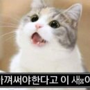 미묘