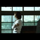 배반 이미지