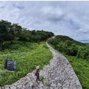 남해군청 이미지