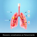 (주)플러스랩에스 이미지
