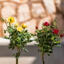 예술스튜디오 이미지