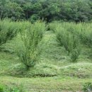 좋은농장 이미지