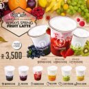 더(The)과일 이미지