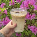 (주)플러스컴 | 컴포즈 바닐라크림라떼 &amp; 너티크림라떼 솔직평