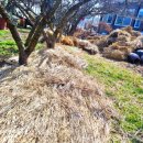 성립농장 이미지