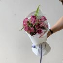 디디에플레르