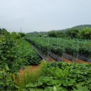 고모리부동산공인중개사사무소 이미지
