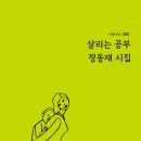 정동재의 돌의 세계 일주 이미지