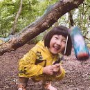 (주)래아